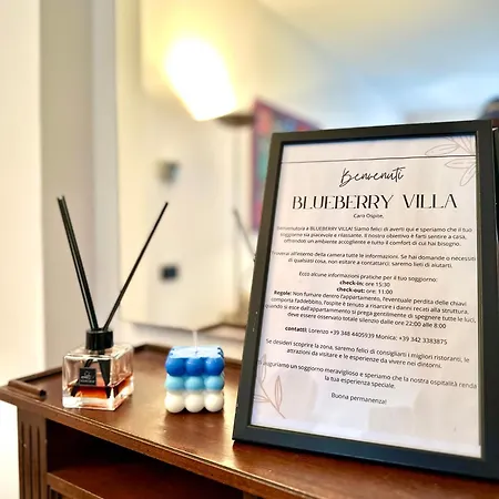 Blueberry - Historic Center * Luino